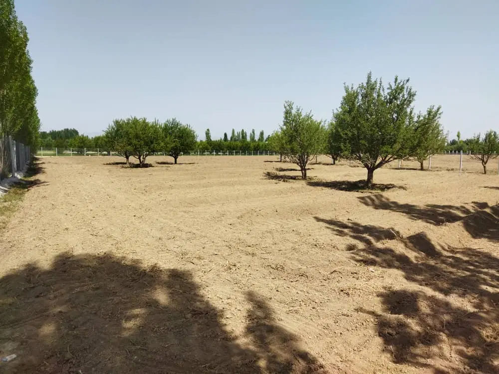 زمین در مسیر پایانه مرزی جدیدالاحداث کوزه رش