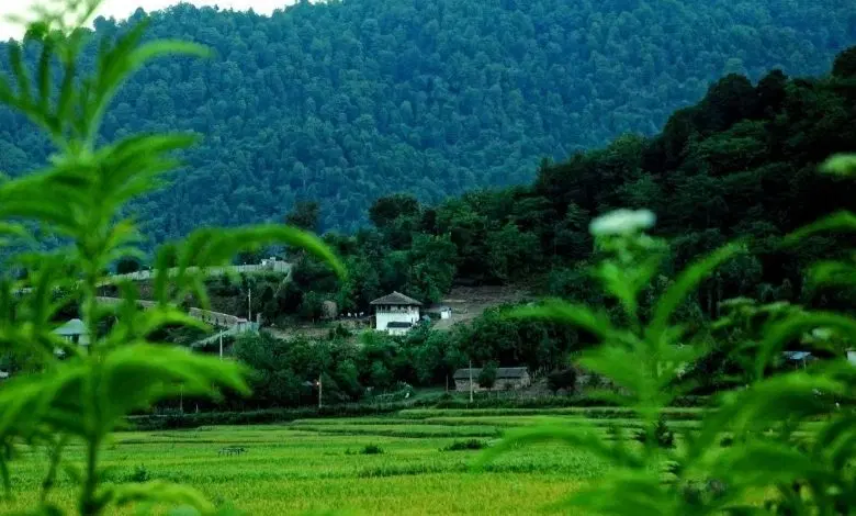 زمین مسکونی