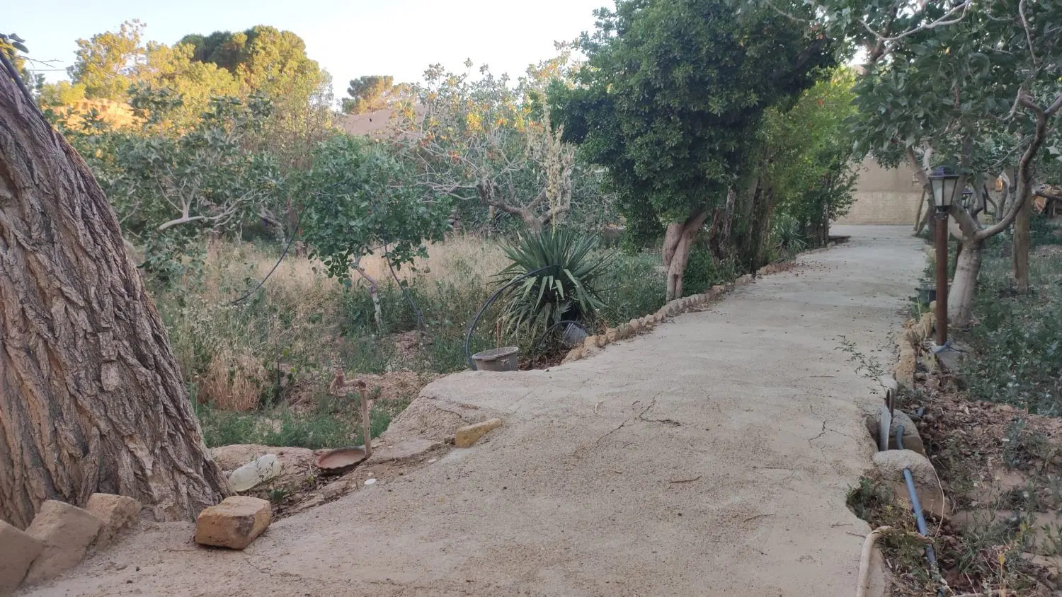 باغ پسته