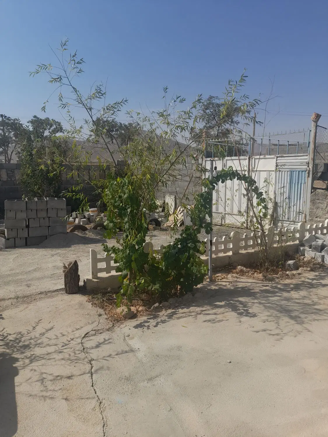باغ سیاسرد