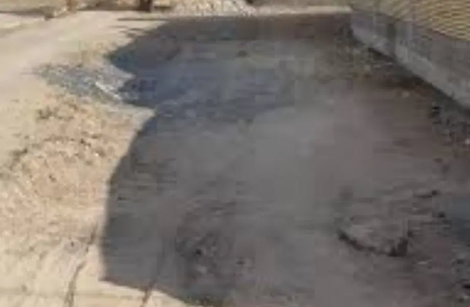 فروش زمین در خیابان دانشگاه روبروی پردیس دانشگاه