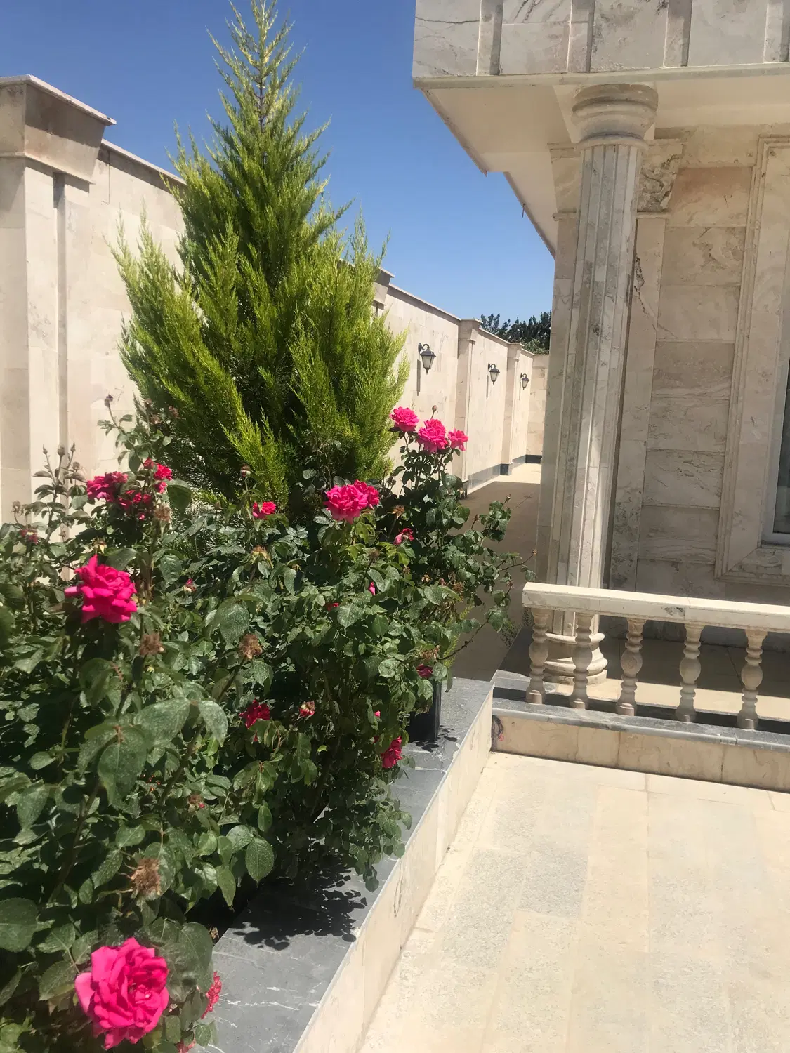 مجتمع باغستان دهشاد ۸۵۰ متر سند تک برگ باغ ویلا
