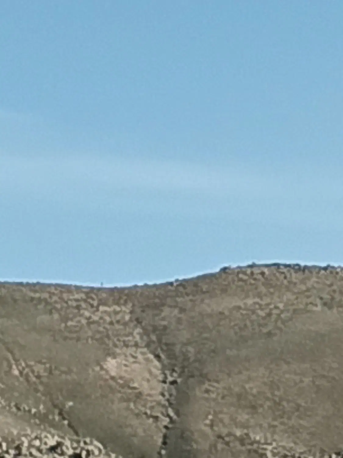 باغ ۴۰۰متر