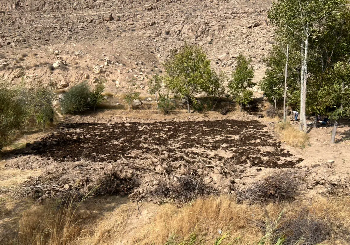 زمین جلگه