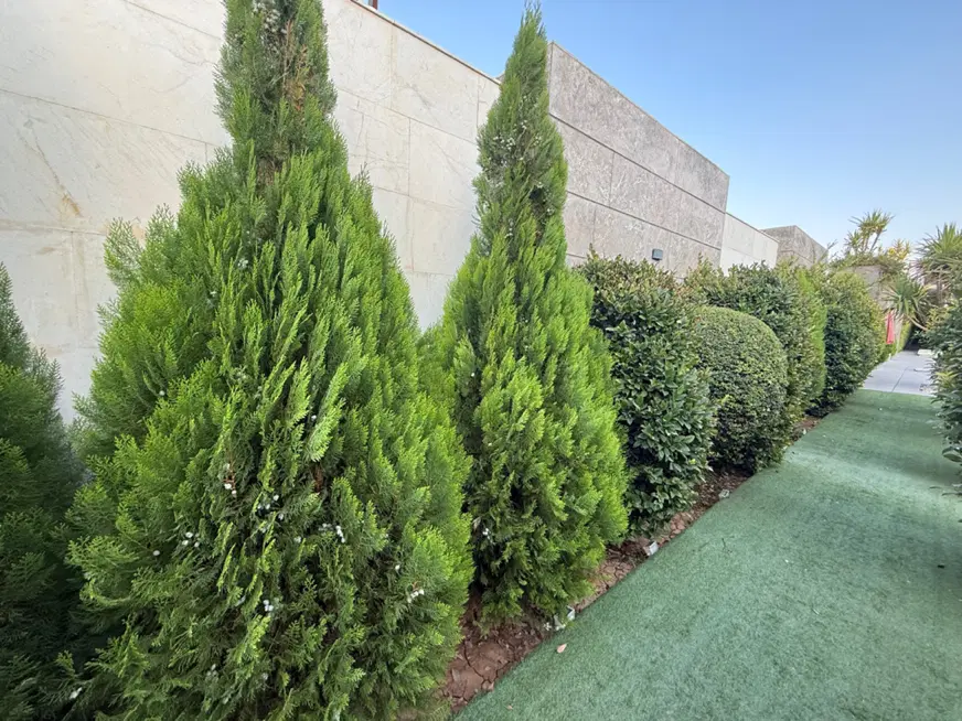 فروش زمین مسکونی ۳۲۰ متری در قدوسی غربی