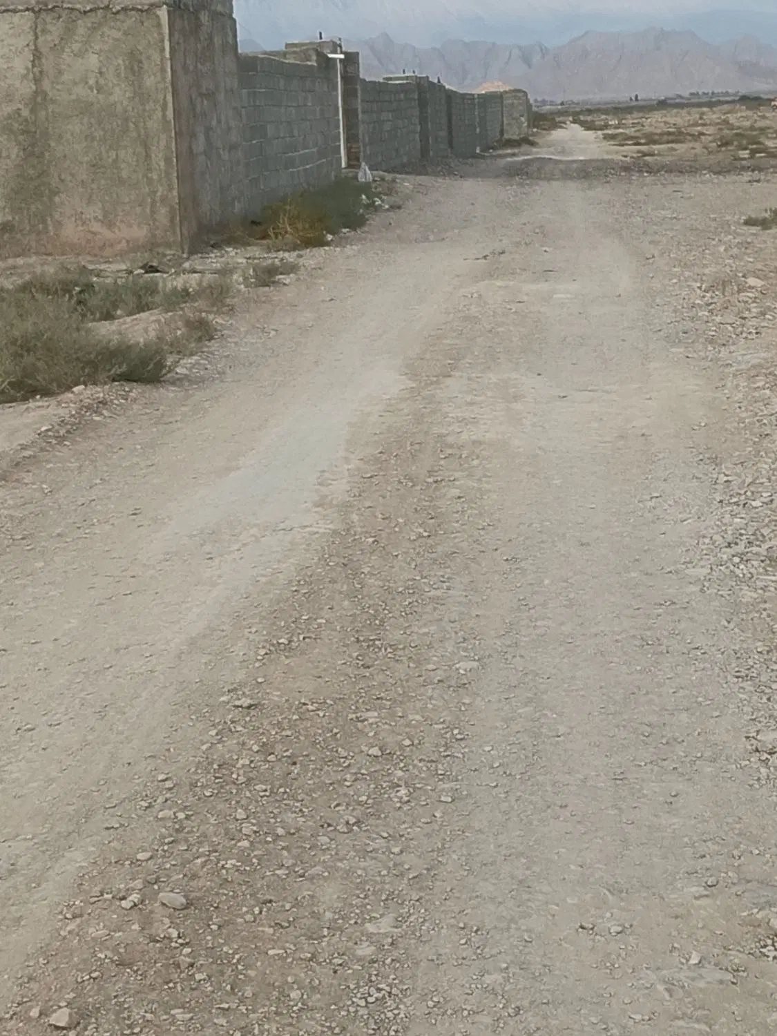 زمین کشاورزی