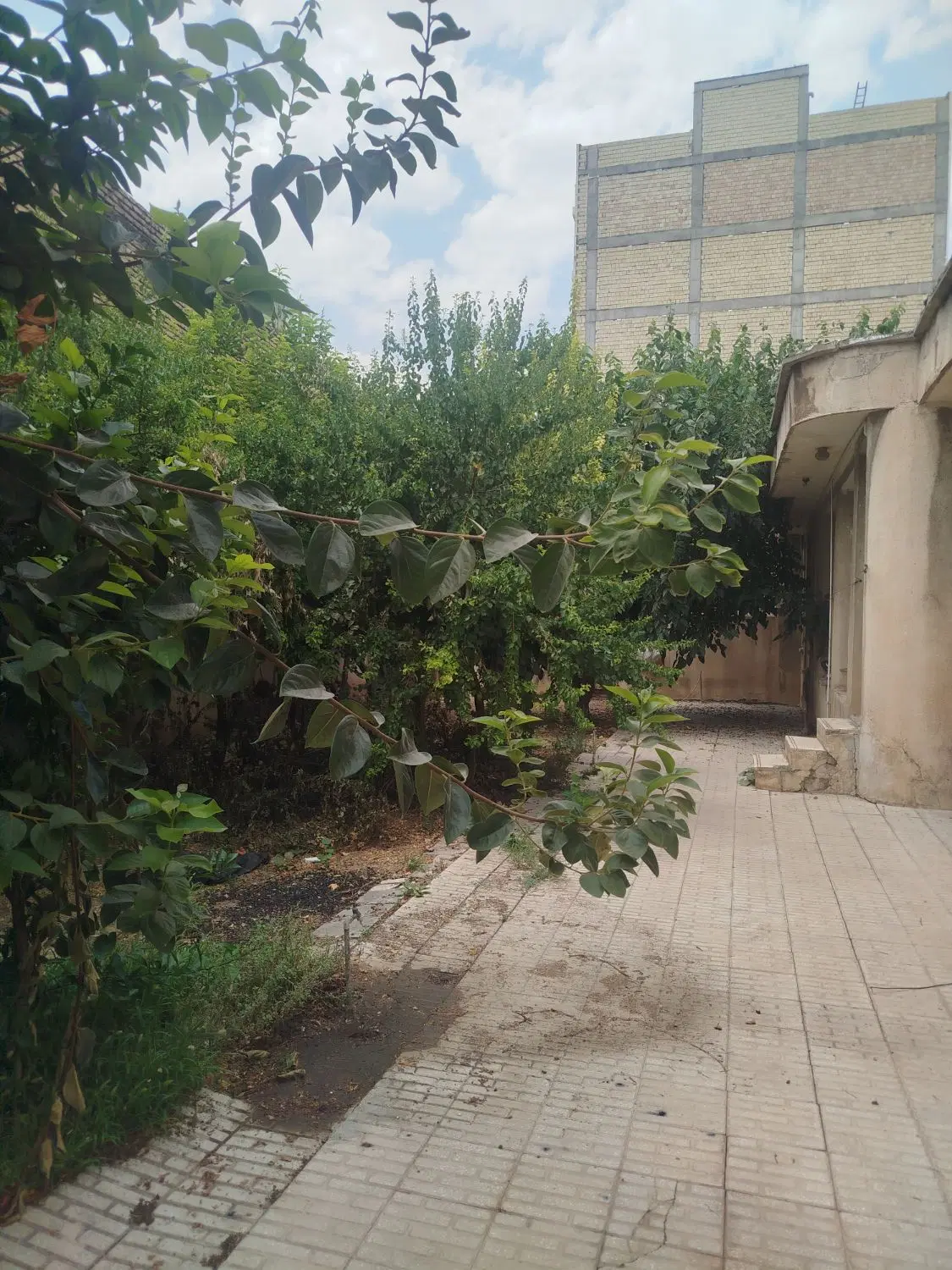 فروش ملک (مزایده)