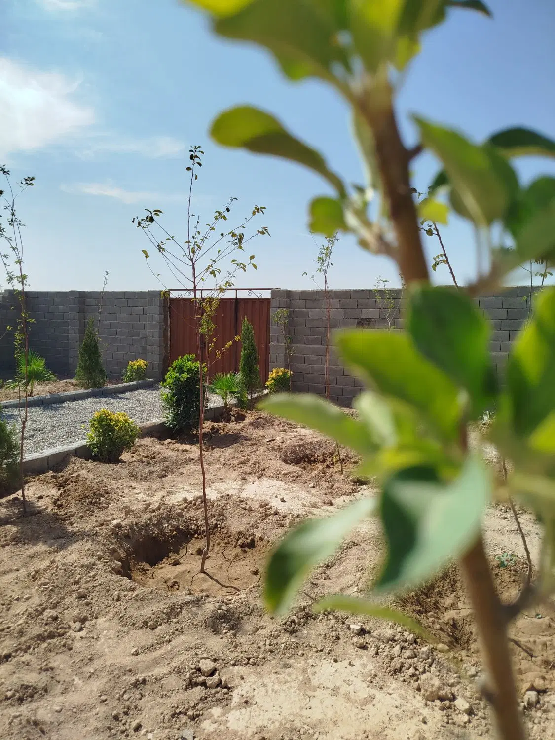۳۰۰ متر باغچه _سند تک برگ_قابل ساخت