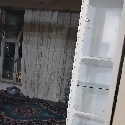 همخونه خانم