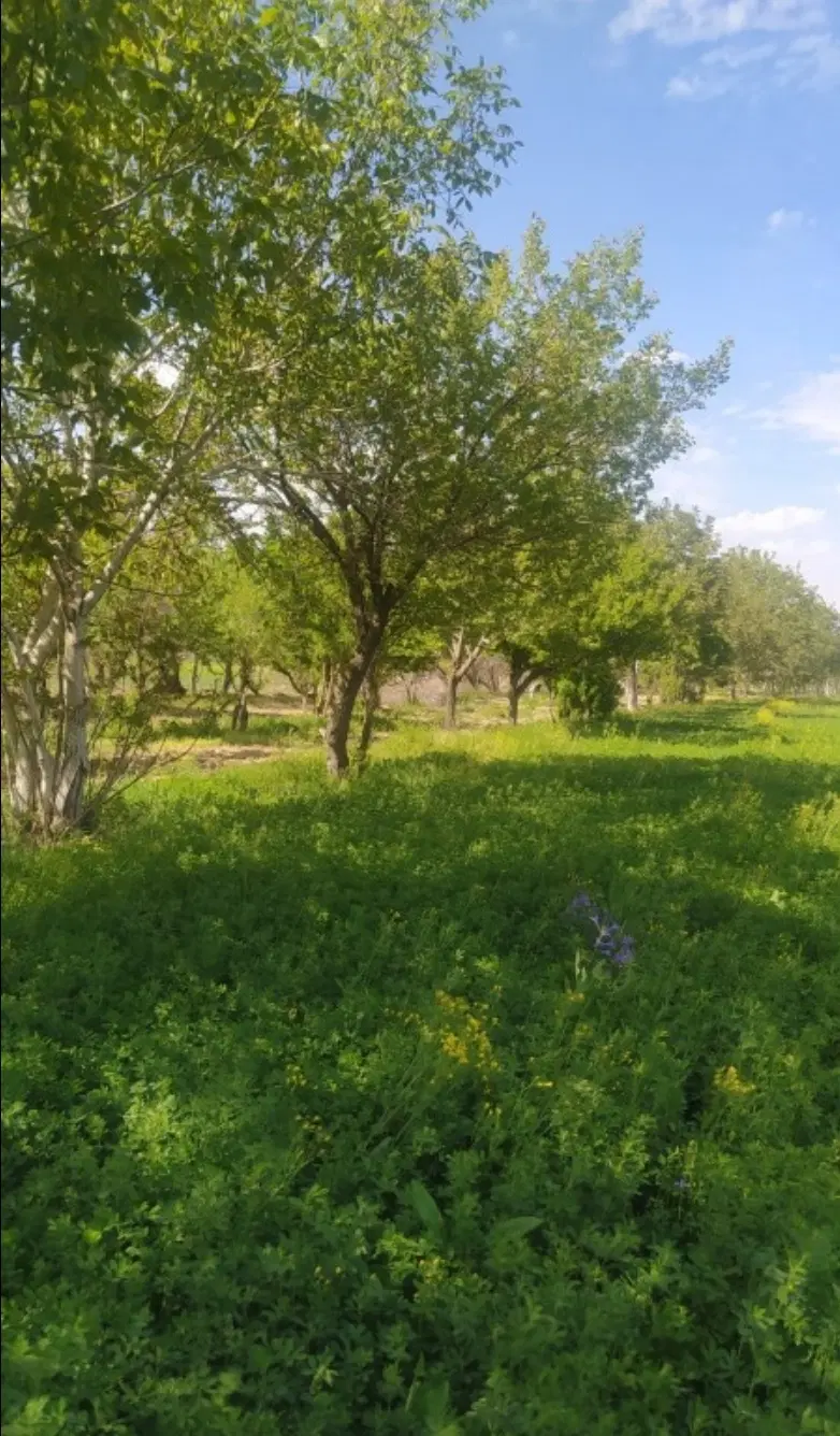 زمین دربهارستان