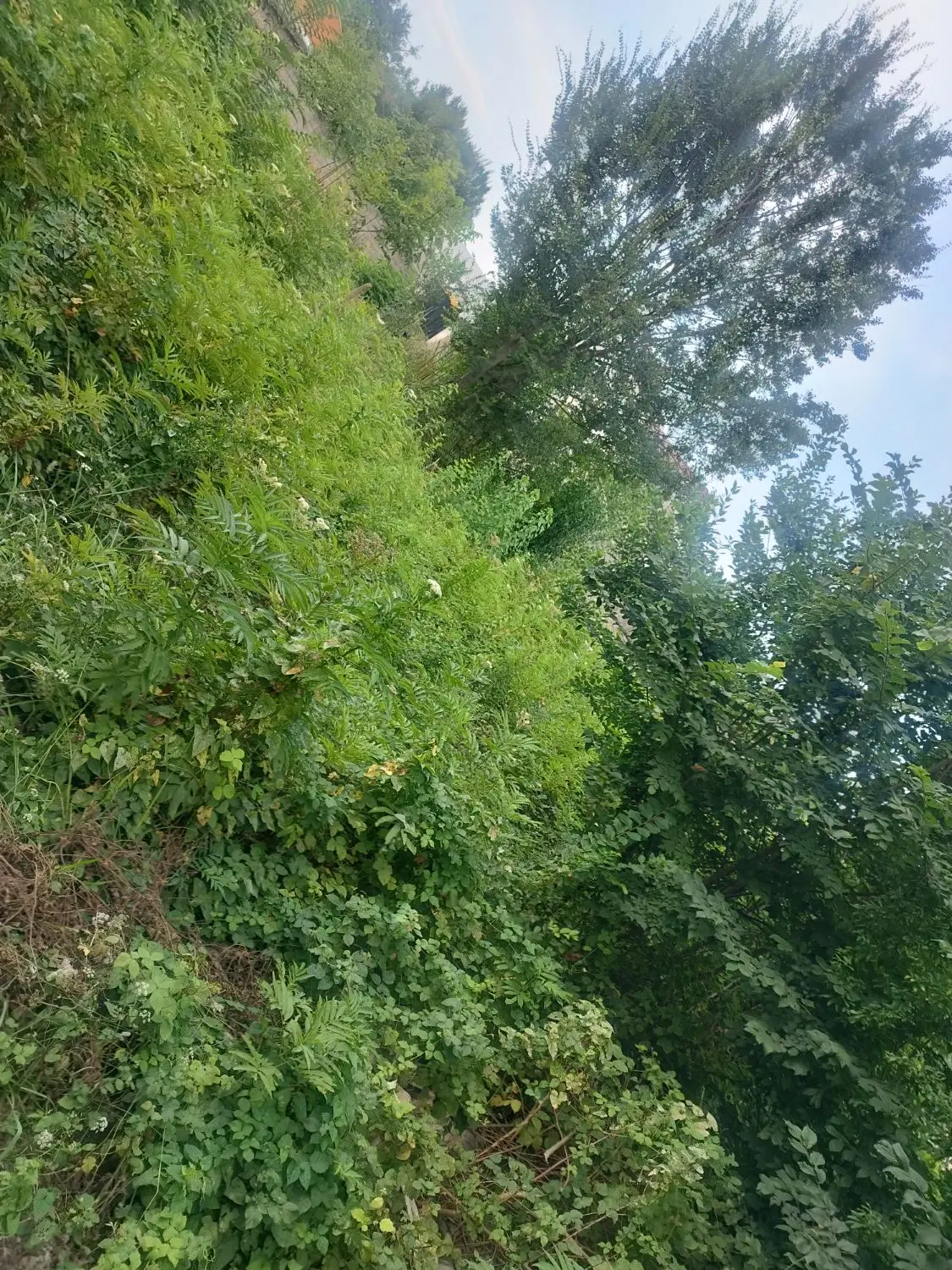 شهری مسکونی 192