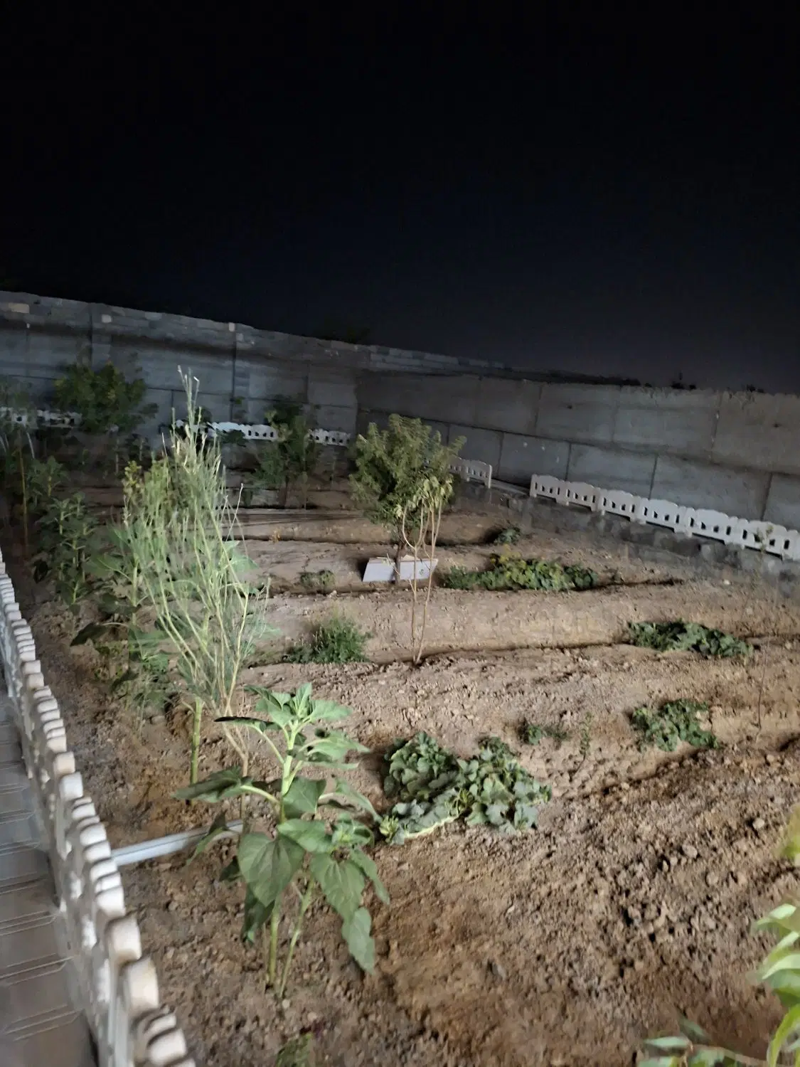 باغ ۵۰۰متری