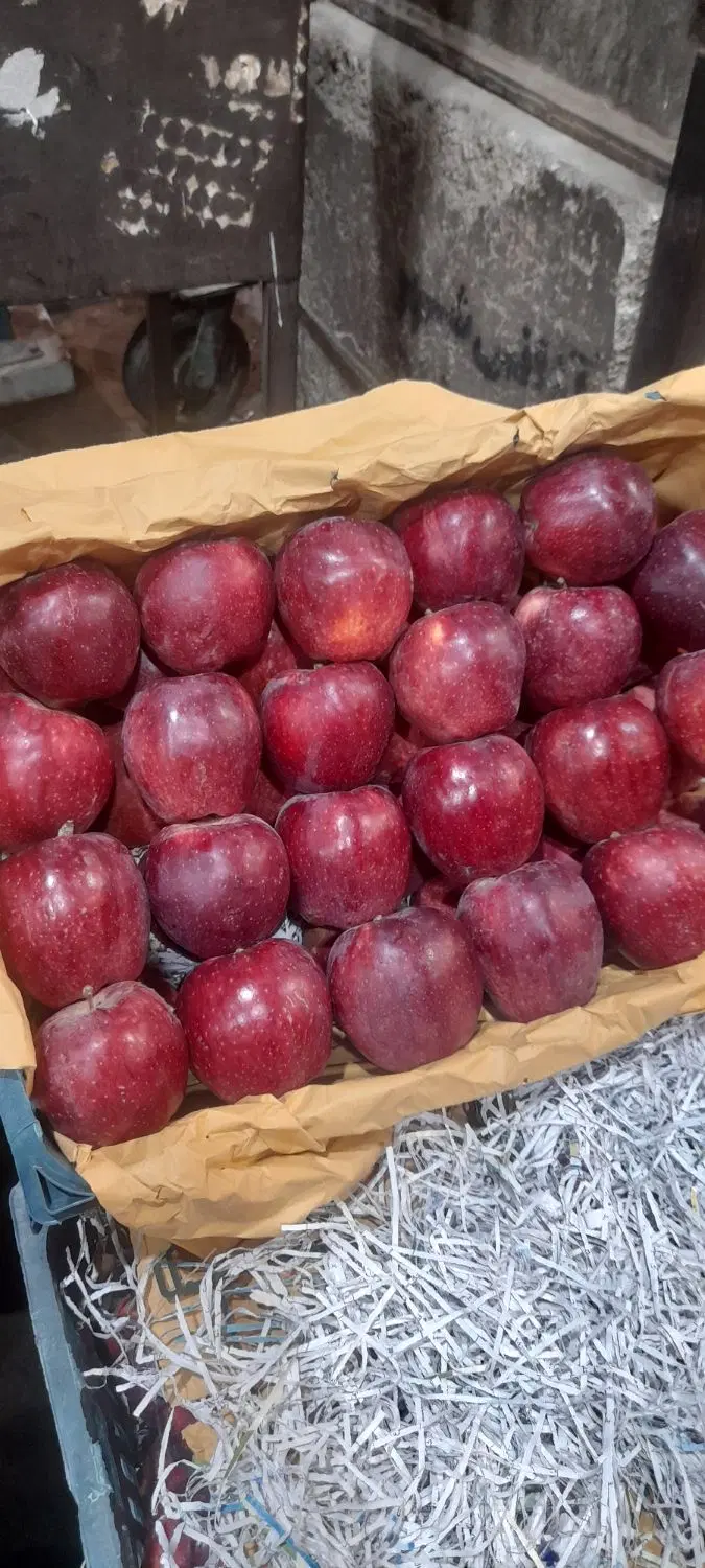 مغازه میوه فروشی