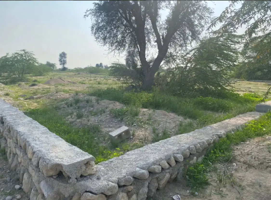 پاتل ایسین ۳۰۰متر