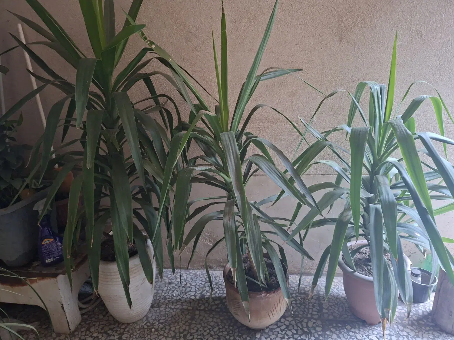 اجاره انبار،کارگاه در ملک ویلایی