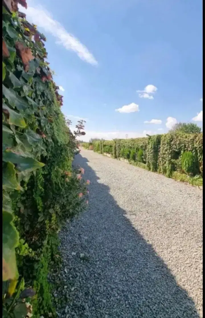 یک قطعه زمین ۲۵۰ متری در حاجی اباد