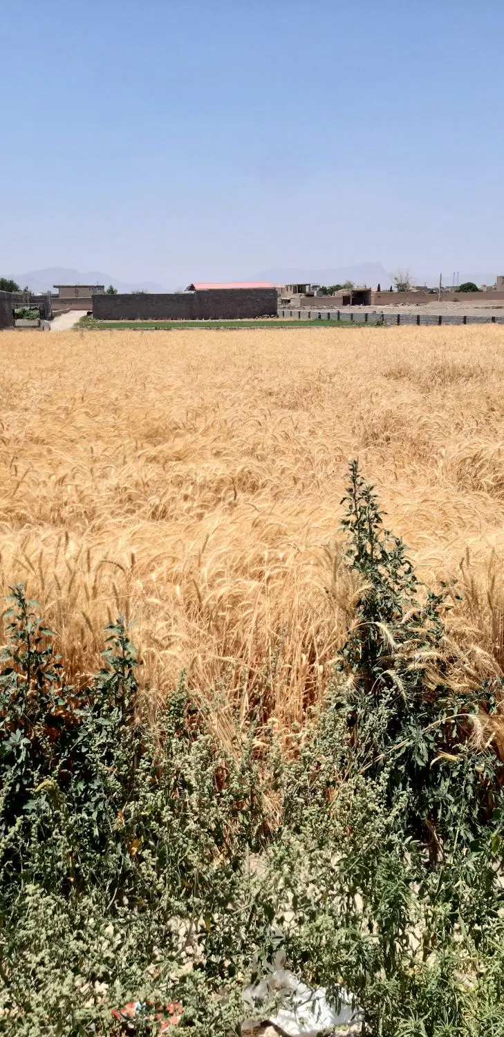 فروش زمین مسکونی