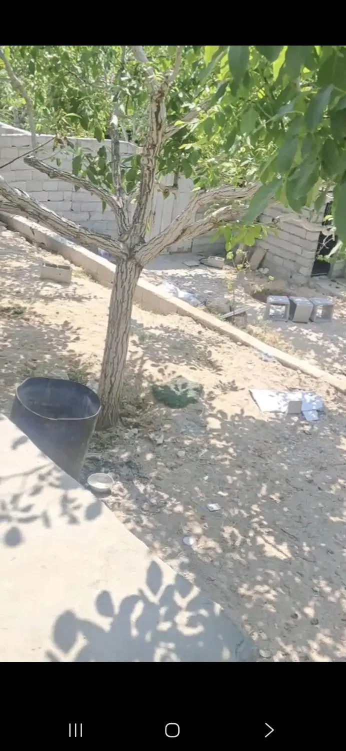 باغ در اسکو