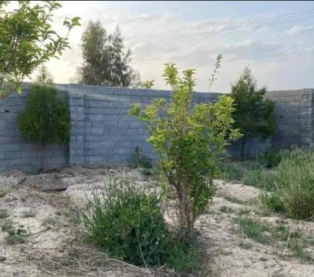 دامداری 600متری