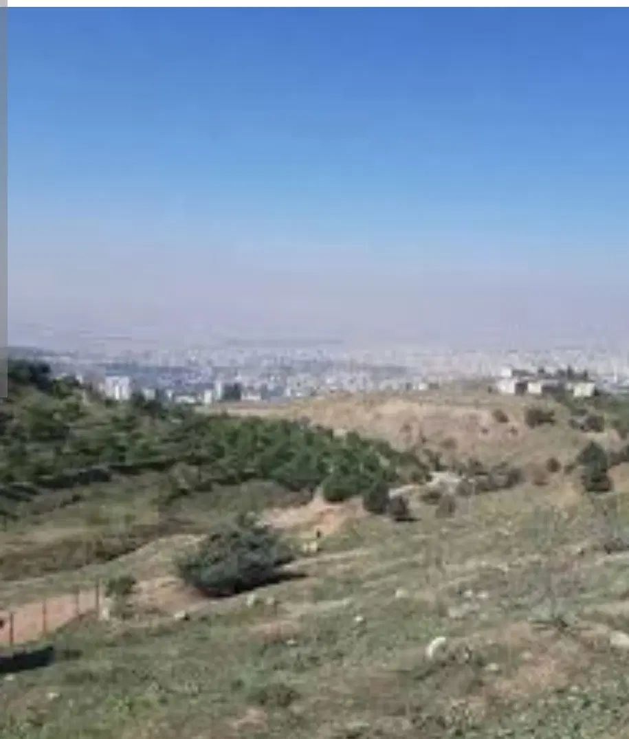 فروش زمین