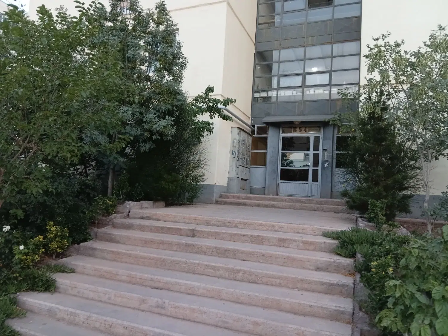 واحد تک خواب پرند کیسون