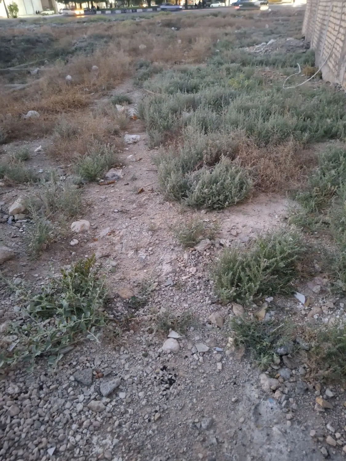 فروش چندقطعه زمین مسکونی درچهارطاقی