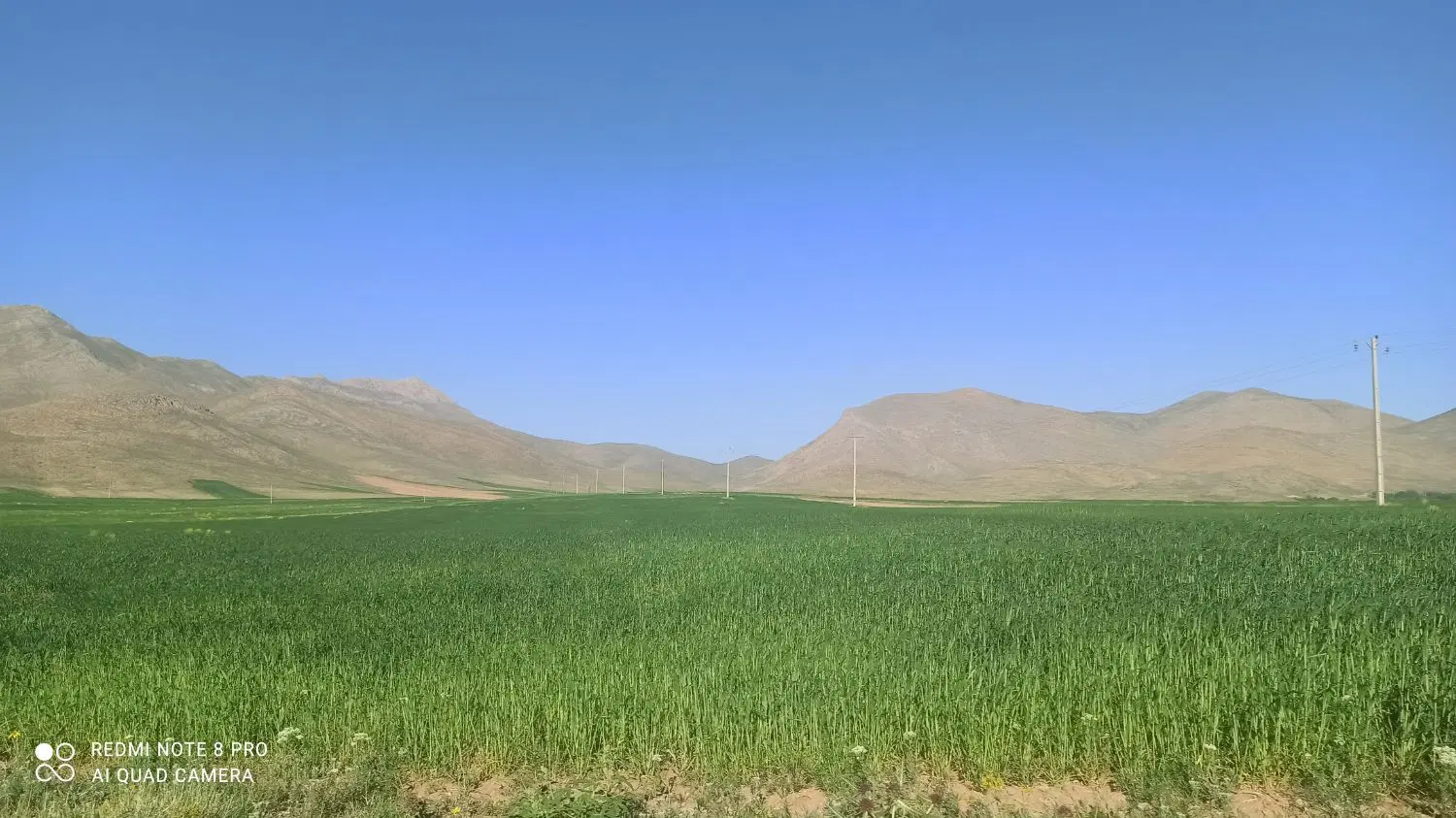 فروش زمین کشاورزی دوهکتاری با موقعیت عالی