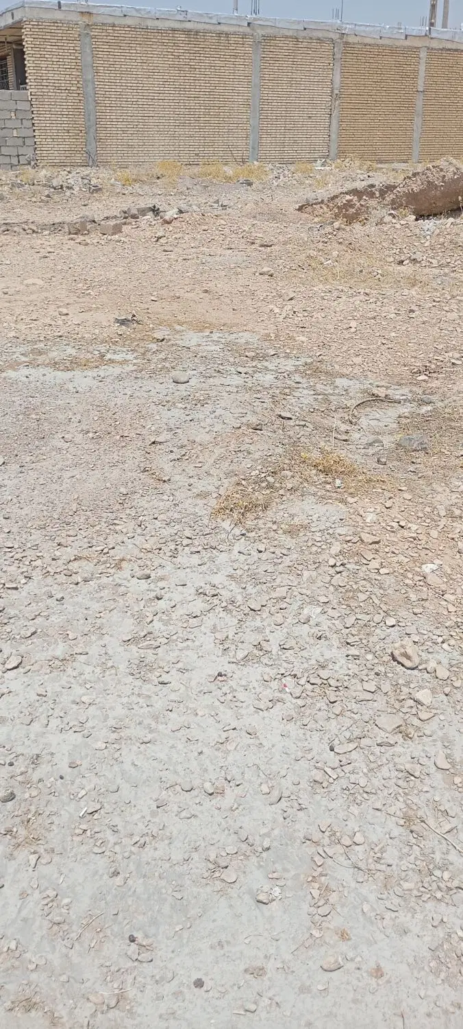 زمین مسکونی نه دی ۲۵۰ متری