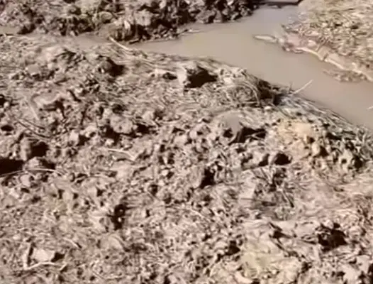 زمین در روستای سرخون