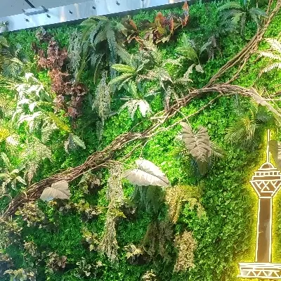 اپارتمان 80متری کوه نور