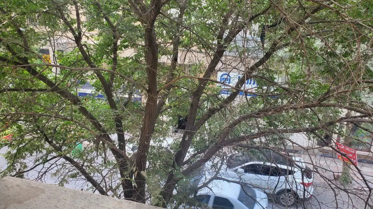 فروش فوری آپارتمان ۱۱۵ متری فرهنگیان فاز ۲