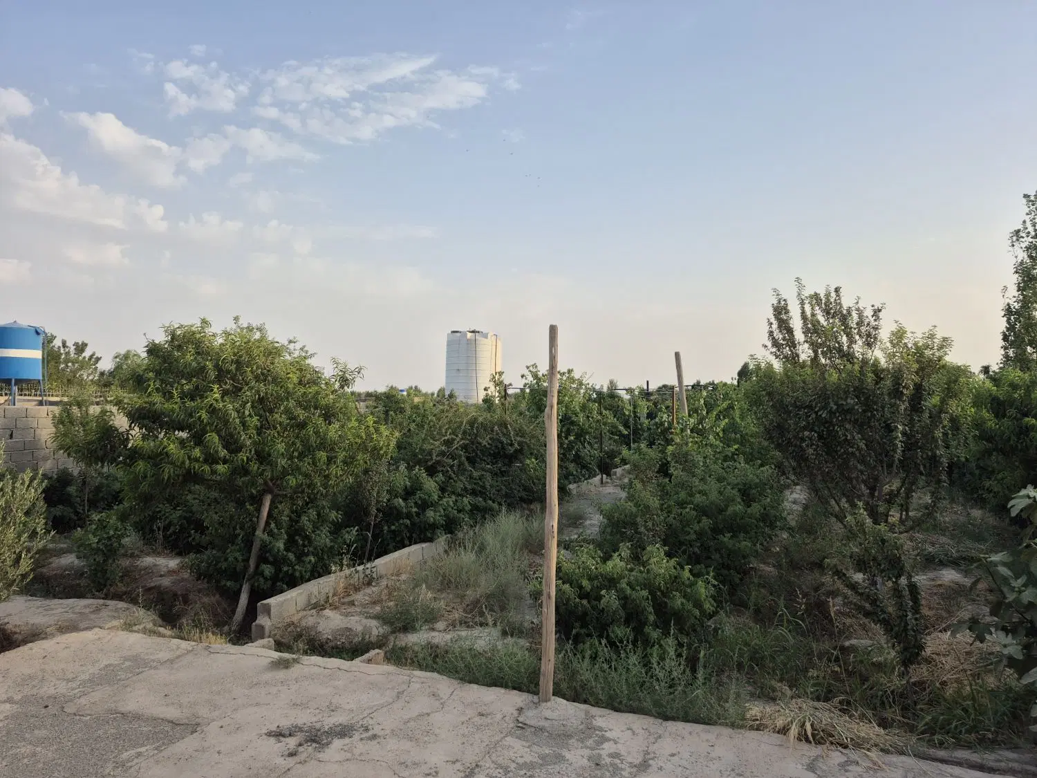 فروش  ۵۰۰ متر باغچه
