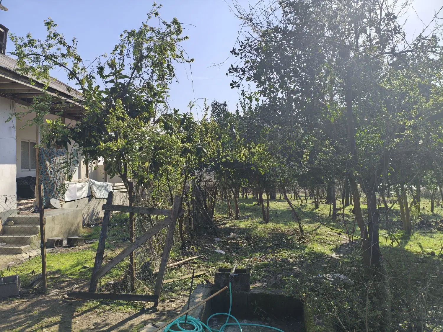 ۴۰۰ متر زمین با کاربری مسکونی جاده ماسوله