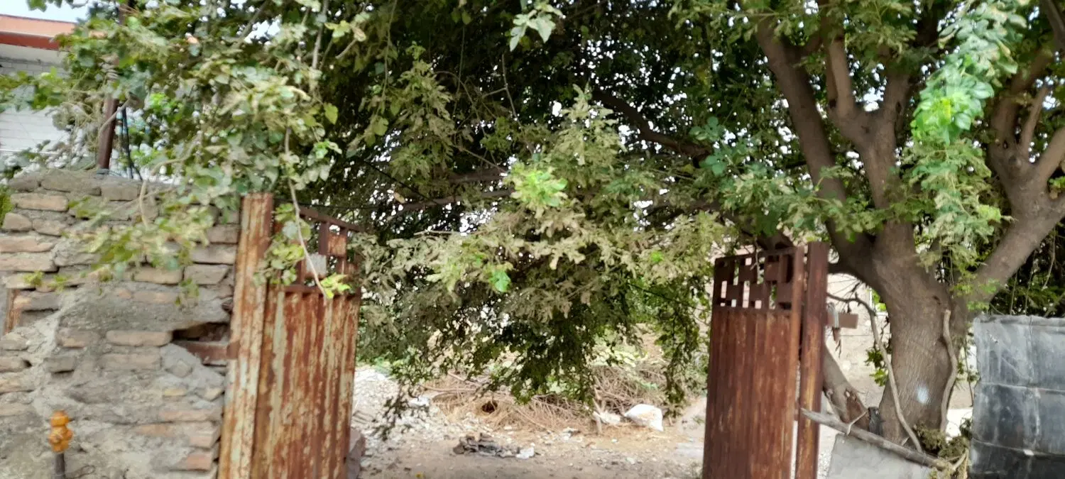 فروش زمین مسکونی ۱۵۰ متر خان به بین روستای گلند