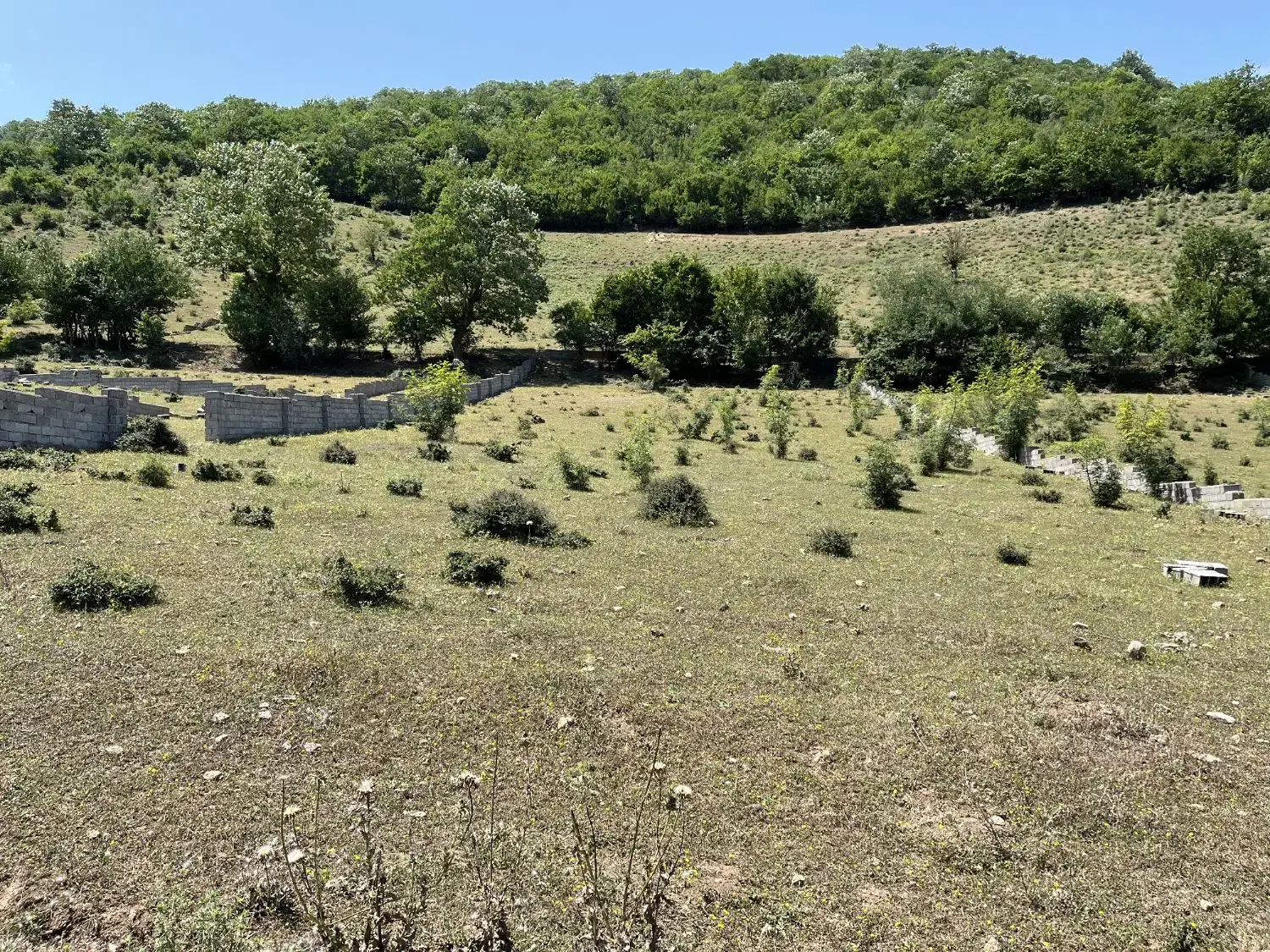 زمین مرزن آباد باندر