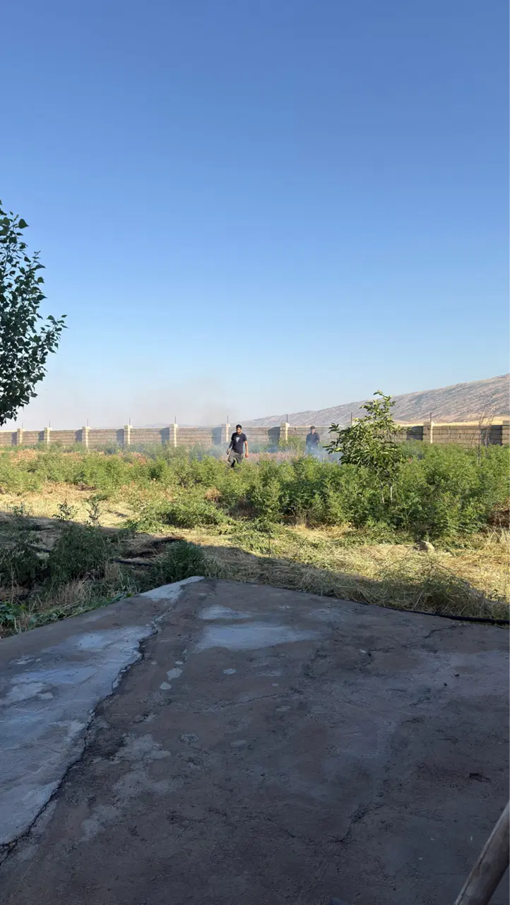 زمین کشاورزی (گلخانه قدیم )