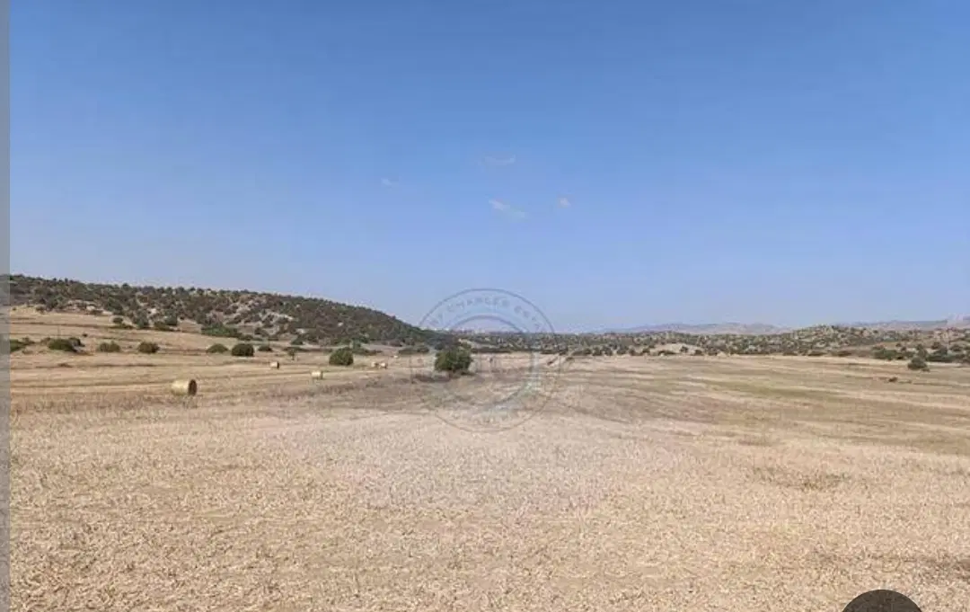 زمین شرکت نفت ۵۰۰ متری پلاک ۸۵