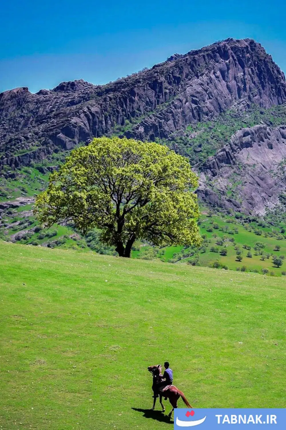 زمین ویلایی باغ دایی اول