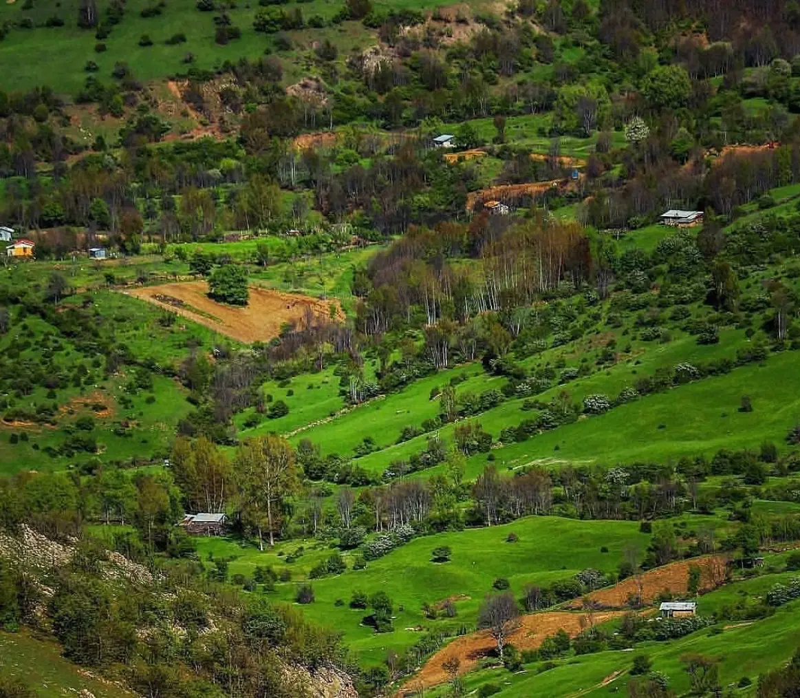 یک قطعه زمین
