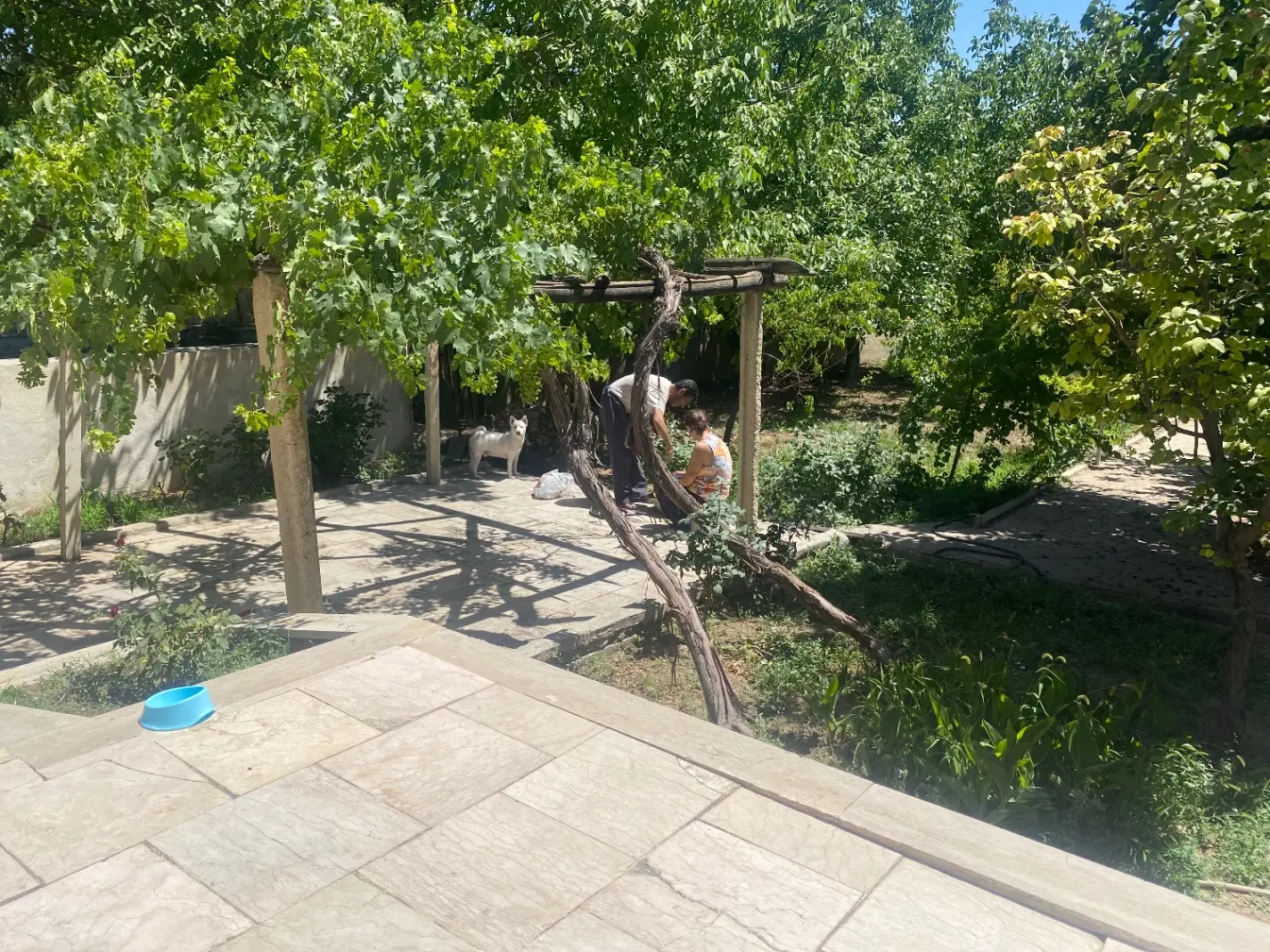 باغ ویلا آبسرد اتابک شخصی