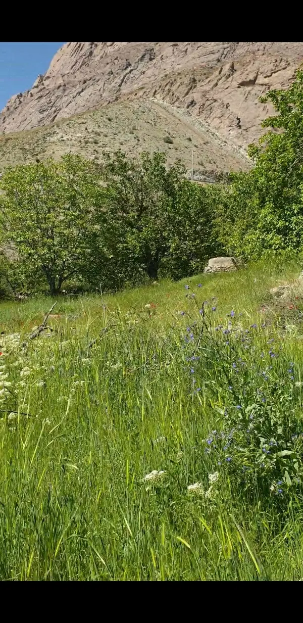 ۳۰۰ متر سند تک برگ رندان سولقان باغ