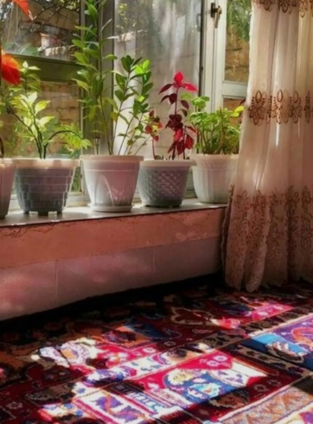 معرفی خانه