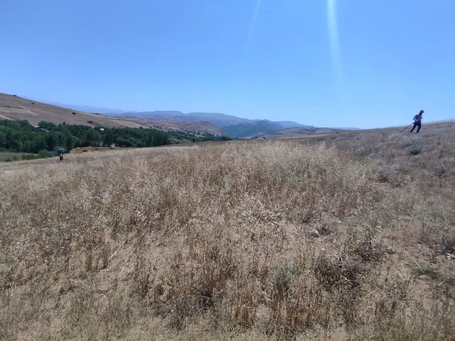 زمین واقع در روستای میکال دیلمان