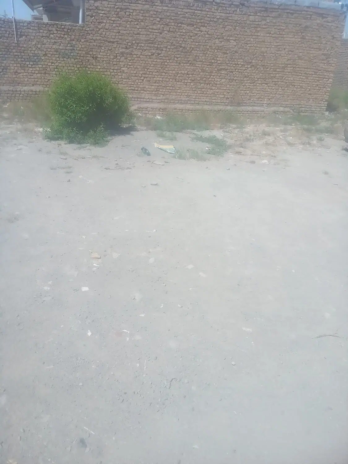 زمین فروشی باهنر