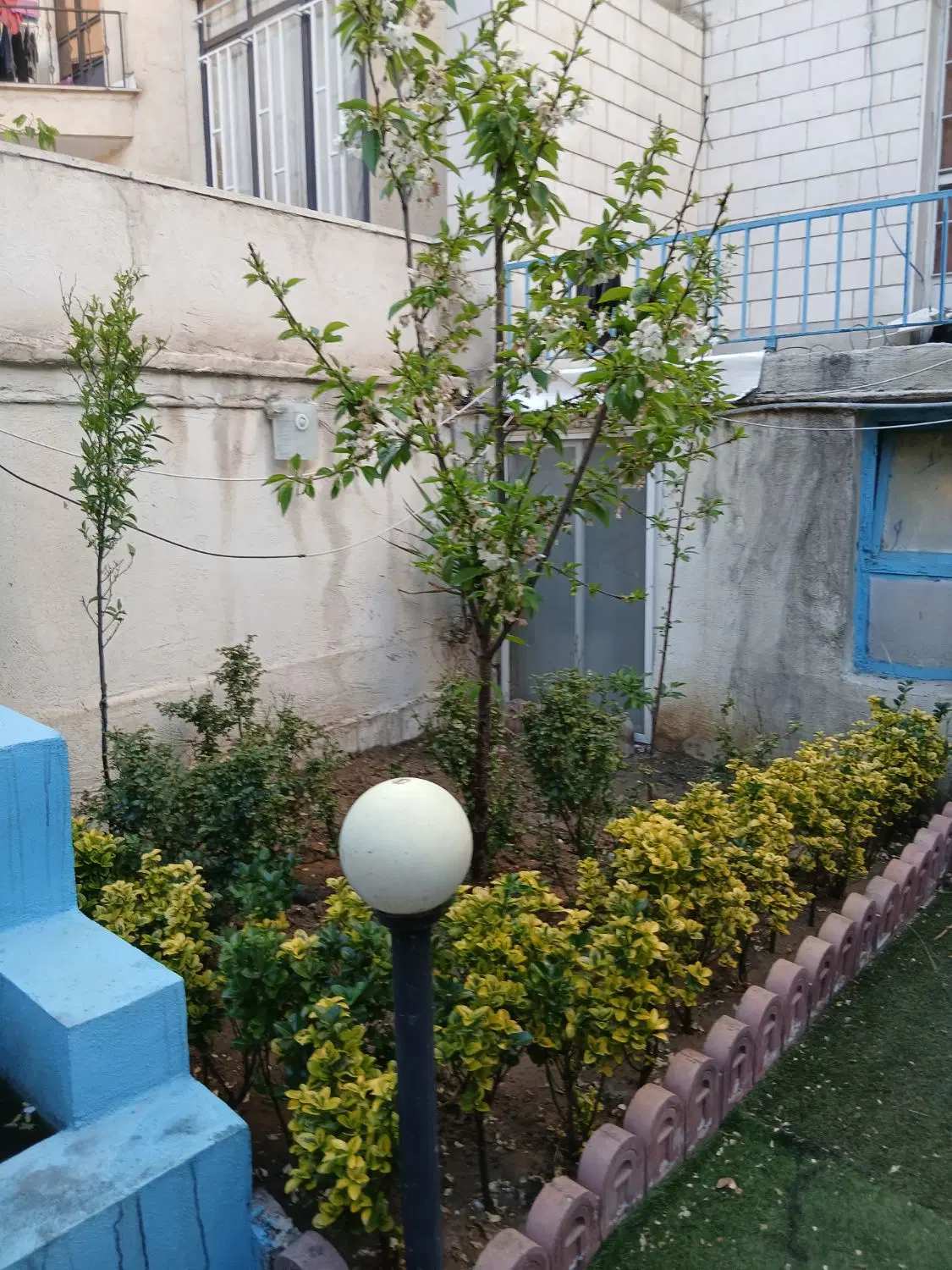 سوییت فلت ۲۸متری فقط ۱نفر خانم
