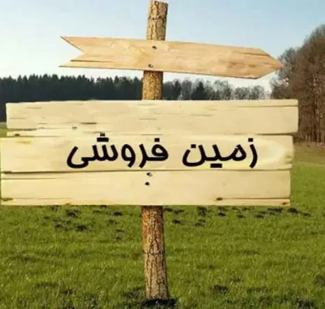 زمین فروشی درکوت سیدصالح