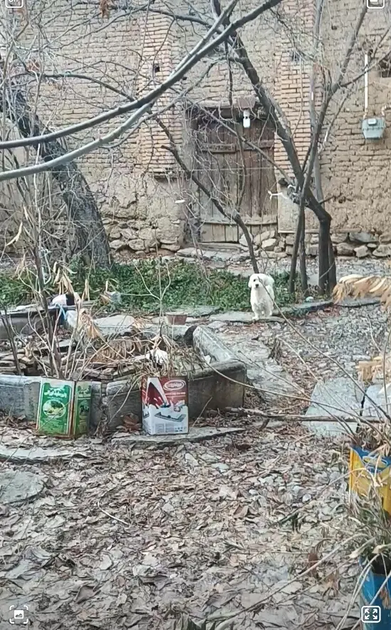 ۲۵۰ متر کلنگی مرکز خوانسار شهدا