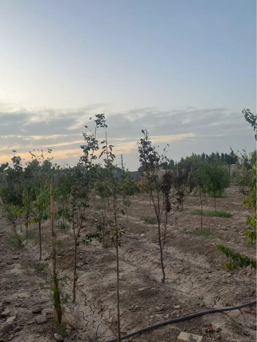 یوسف رضا عالی برای سرمایه گذاری
