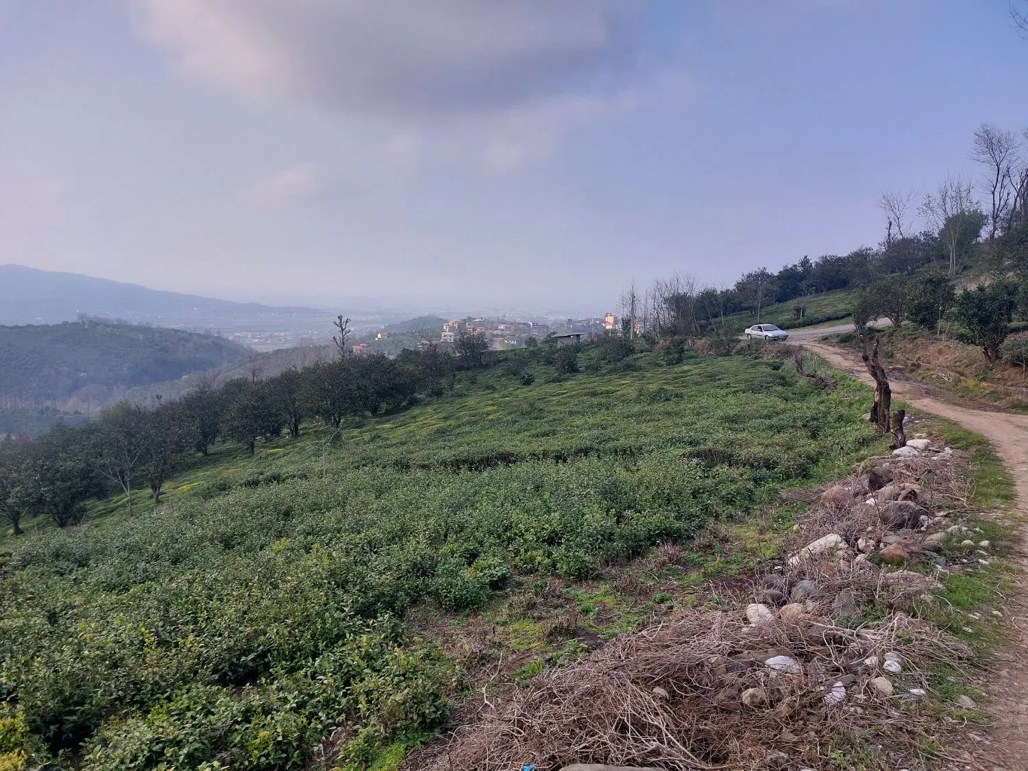 زمین باغی داخل محدوده بازنشین آخوند ملک