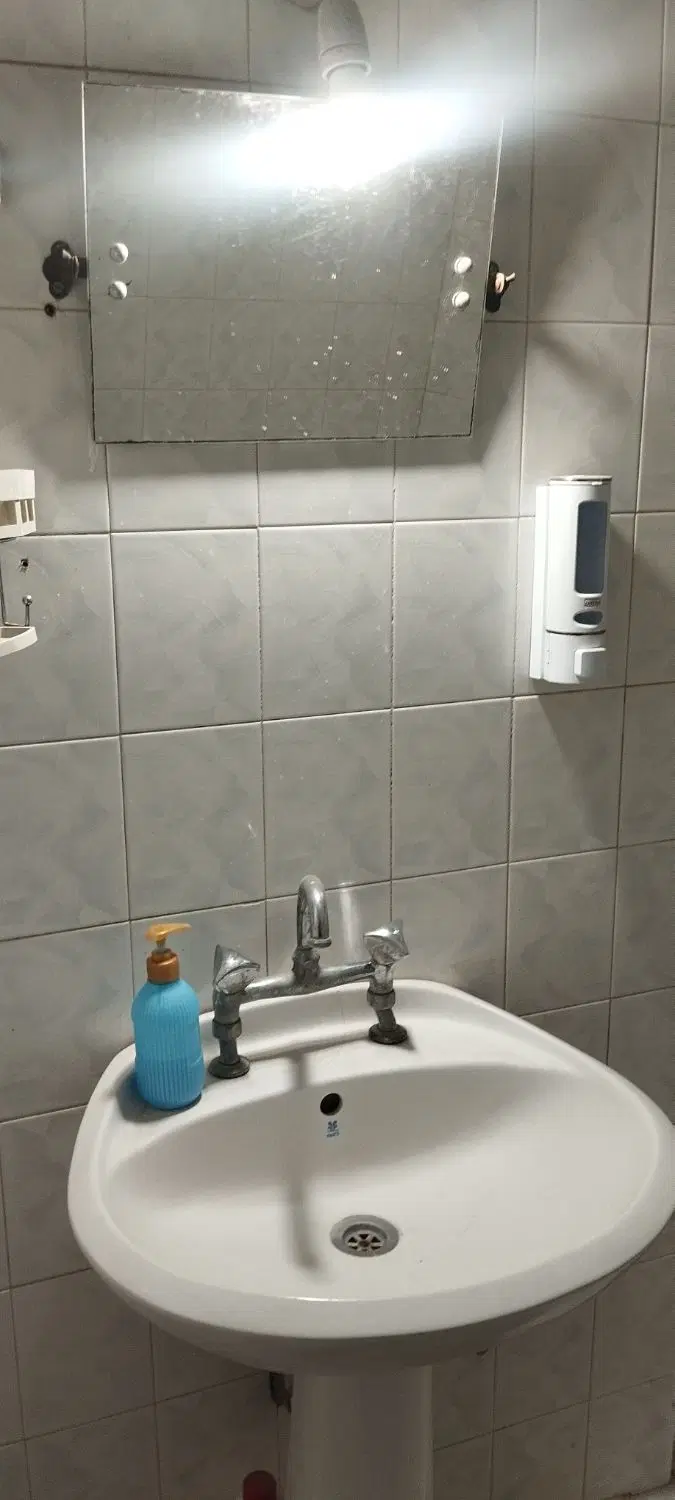 همخونه خانم